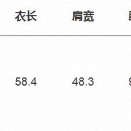 Giordano 佐丹奴藍色連帽外套