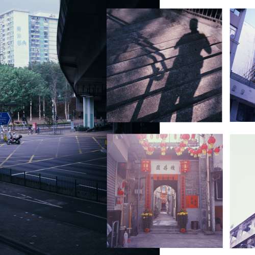 MAMIYA C220 + 80mm f3.7