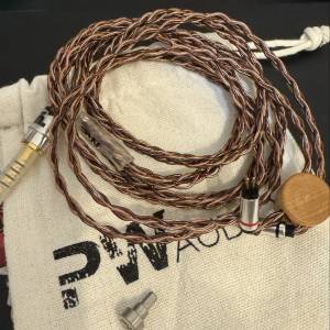 PW Audio 3.5mm 地盒加盲盒開到的No.5 耳機線（4.4mm 2pin）