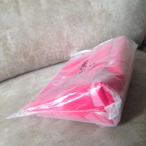 LANCOME Cosmetic Pouch NEW 全新 小化妝包 19*13cm