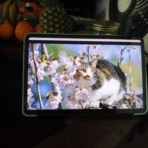 💓小米平板 pad 6,，(95%新，好新淨的) 8gb, 256g，（約方便的地鐵站交收（2024年買...