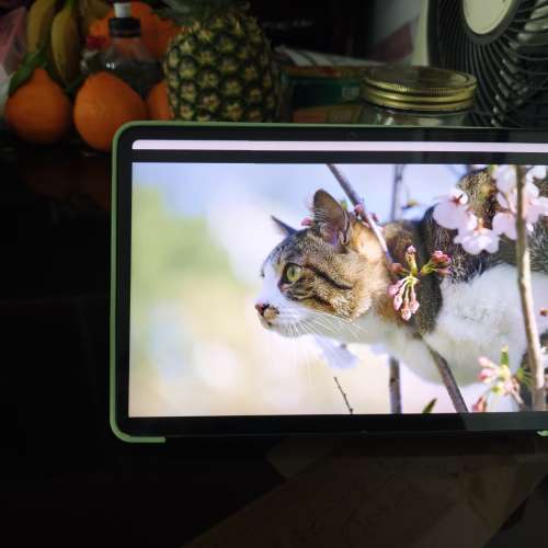 💓小米平板 pad 6,，(95%新，好新淨的) 8gb, 256g，（約方便的地鐵站交收（2024年買...