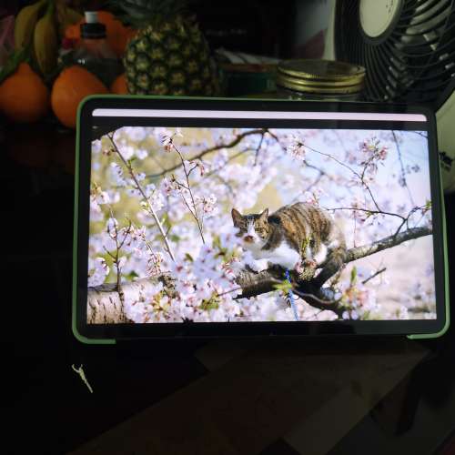 💓小米平板 pad 6,，(95%新，好新淨的) 8gb, 256g，（約方便的地鐵站交收（2024年買...