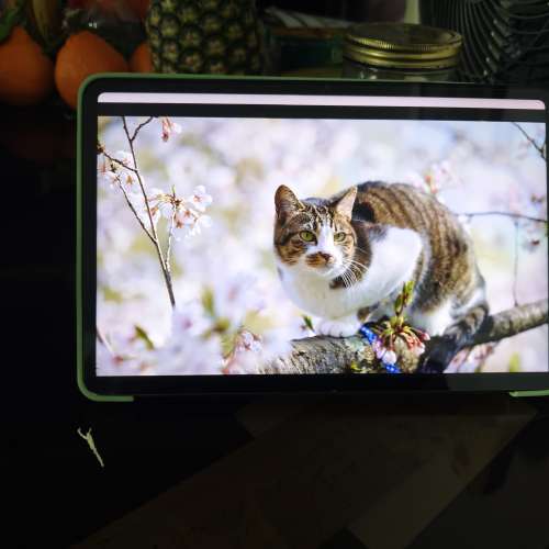 💓小米平板 pad 6,，(95%新，好新淨的) 8gb, 256g，（約方便的地鐵站交收（2024年買...