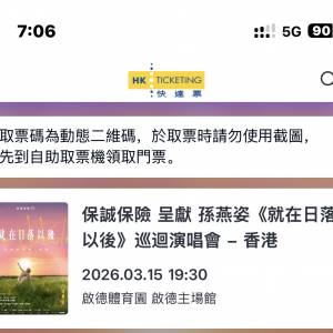 孫燕姿演唱會香港 313 315