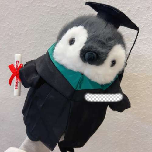 睇下文&middot;文盲勿擾&middot;不轉wtsapp/電話‼️大隻稀有款super mario toad graduation plu...