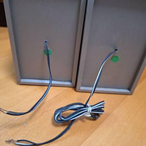 Samsung 被動式喇叭 無源音箱 無電源 三星