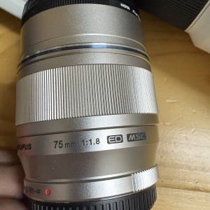 M43 olympus 銀色75 F1.8鏡頭 神之光