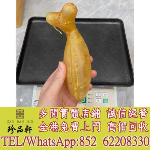 【珍品軒】實體門市 免費上門 高價回收：各種花膠，陳年花膠，魚膠，舊花膠，花膠，...