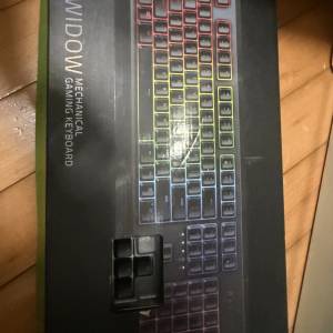 Razer Blackwidow 機械式電競鍵盤