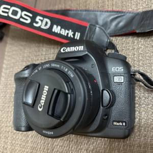 Canon 5D2 + 50mm / 1.8f