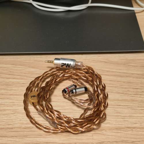 PW Audio No.5 4 wires 2.5mm 2 pin (盲盒抽中品）