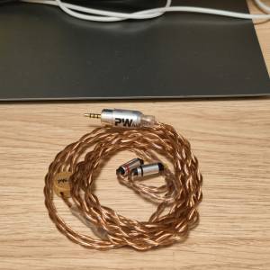PW Audio No.5 4 wires 2.5mm 2 pin (盲盒抽中品）