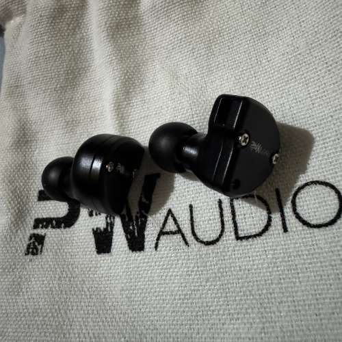 PW audio Biscuit IEM