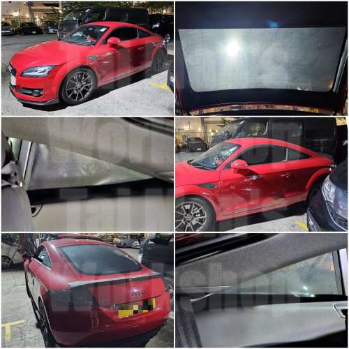 Audi TT 防曬窗網