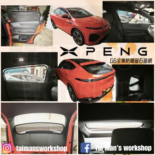 XPENG G6 X9 全車防曬磁石窗網