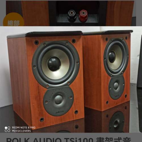 PolkAudio TSi100