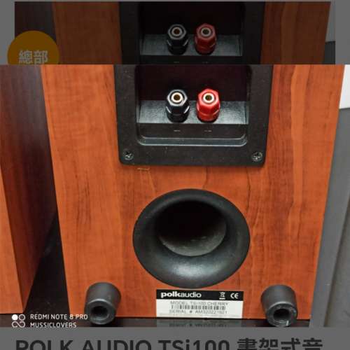 PolkAudio TSi100