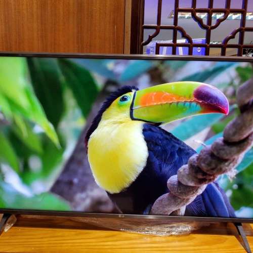 勁新淨！LG 43吋4K高清畫質智能電視機43&lsquo; 4K smart TV