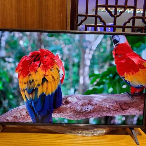 勁新淨！LG 43吋4K高清畫質智能電視機43&lsquo; 4K smart TV