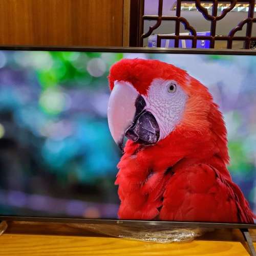 勁新淨！LG 43吋4K高清畫質智能電視機43&lsquo; 4K smart TV