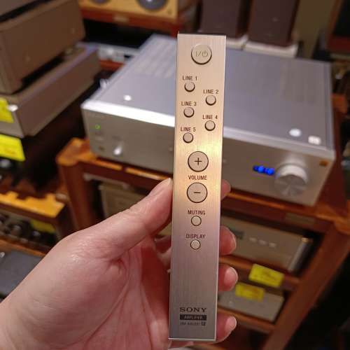 Sony TA-A1ES  (100v)