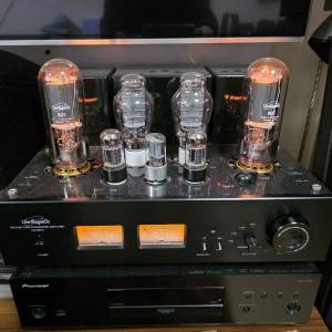 麗磁 Line Magnetic 508 IA 805