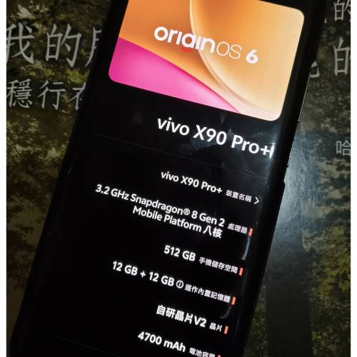 vivo x 90 Pro Plus (1 吋超大感光元件)