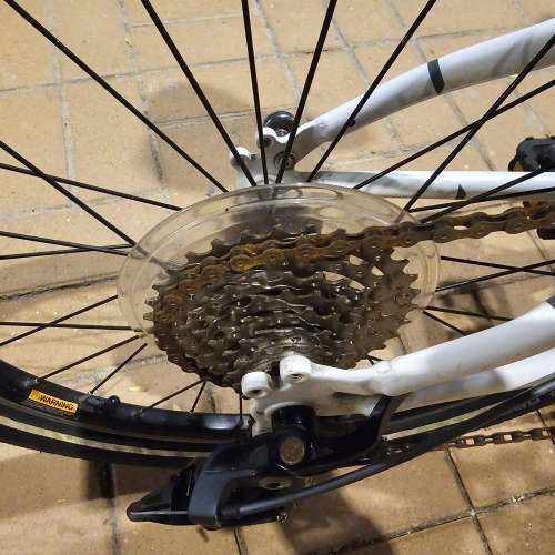 Dahon 摺車 折疊單車