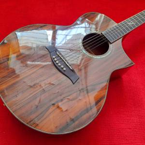IBANEZ EW50CBE 電木結他 GUITAR