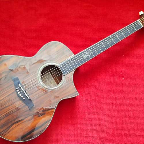 IBANEZ EW50CBE 電木結他 GUITAR