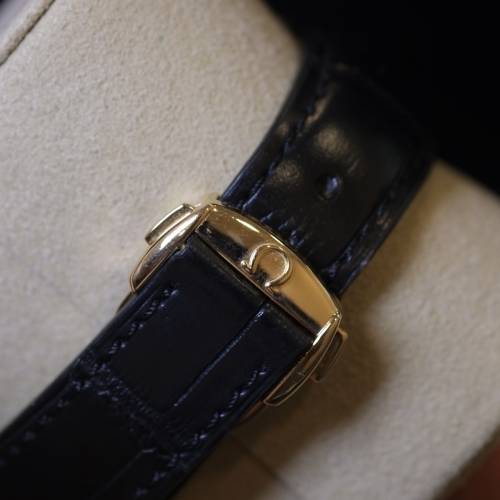 OMEGA SEA MASTER AQUA TERRA 18K