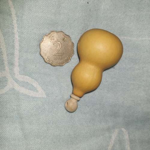 超迷你葫蘆葫蘆天然種植 風水葫蘆/蒲瓜