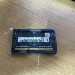 SKhynix  Pc3L-12800s 8GB Laptop RAM