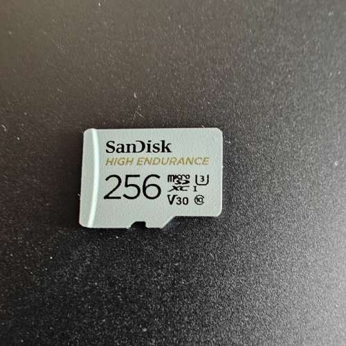 SanDisk High Endurance 256GB MicroSD卡
