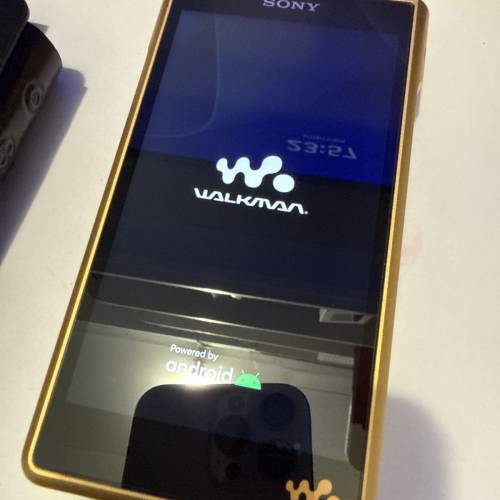 SONY WMZ1M2(金磚二代）