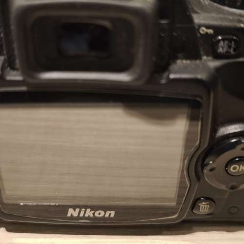 Nikon D40X + 35 1.8 DX lens