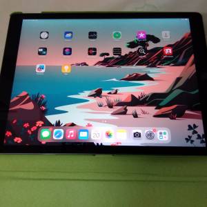 iPad Pro 1st with case