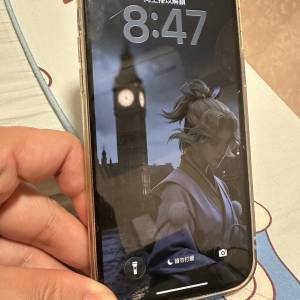 出售iphone 12 Pro Max 256G 港版