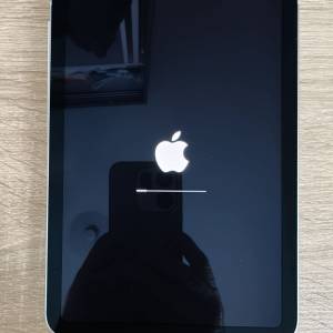 iPad mini (A17 Pro) 128GB Cellular