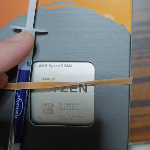 全新AMD R5 5600