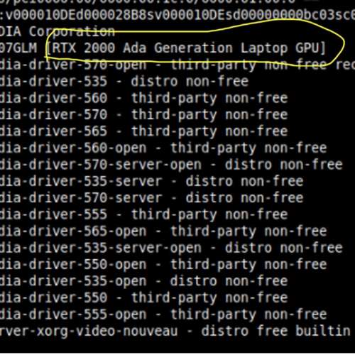 Nvidia RTX 2000 laptop Ada 8G vram low profile card