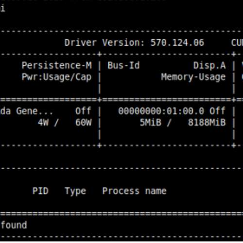 Nvidia RTX 2000 laptop Ada 8G vram low profile card