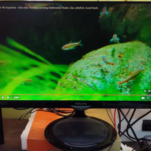 Philips 24吋 LCD 顯示器