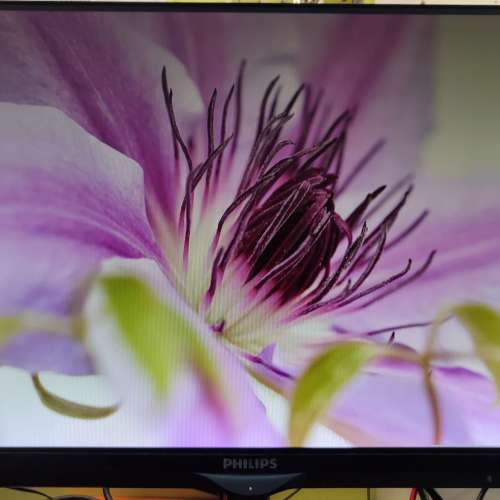 Philips 24吋 LCD 顯示器