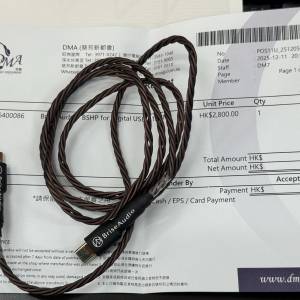 Brise Audio BSHP for Digital USB Cable Px8s2 Bathys MG