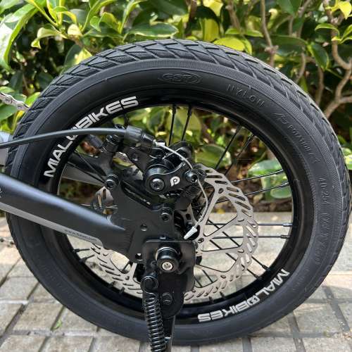 FNHON 風行 FGD1402 外5速 碟剎 14 吋 鋁合金折叠車 送水架前後蛙燈叮叮