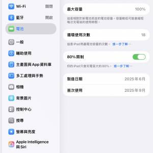 iPad mini 128 行貨 99%新