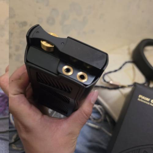 Lotoo PAW GT2 墨菊2