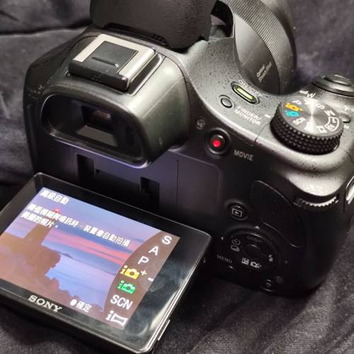 Sony Cyber-shot DSC-HX400V T* Zeiss 24-1200mm